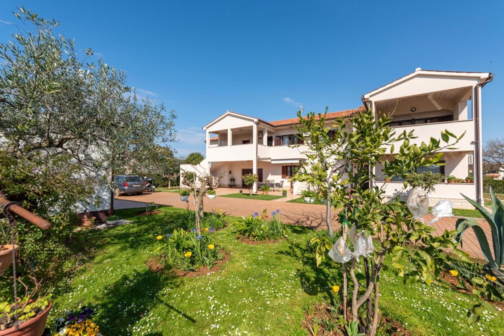 Apartment Marchela Nova Vas  Eksteriør bilde
